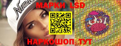 гидропоника Ставрополь