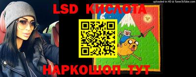 гидропоника Ставрополь