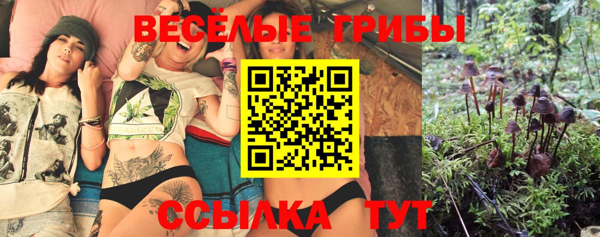 Галлюциногенные грибы мицелий  Галлюциногенные грибы мухоморы  Вход с VPN  закладка  Полысаево 